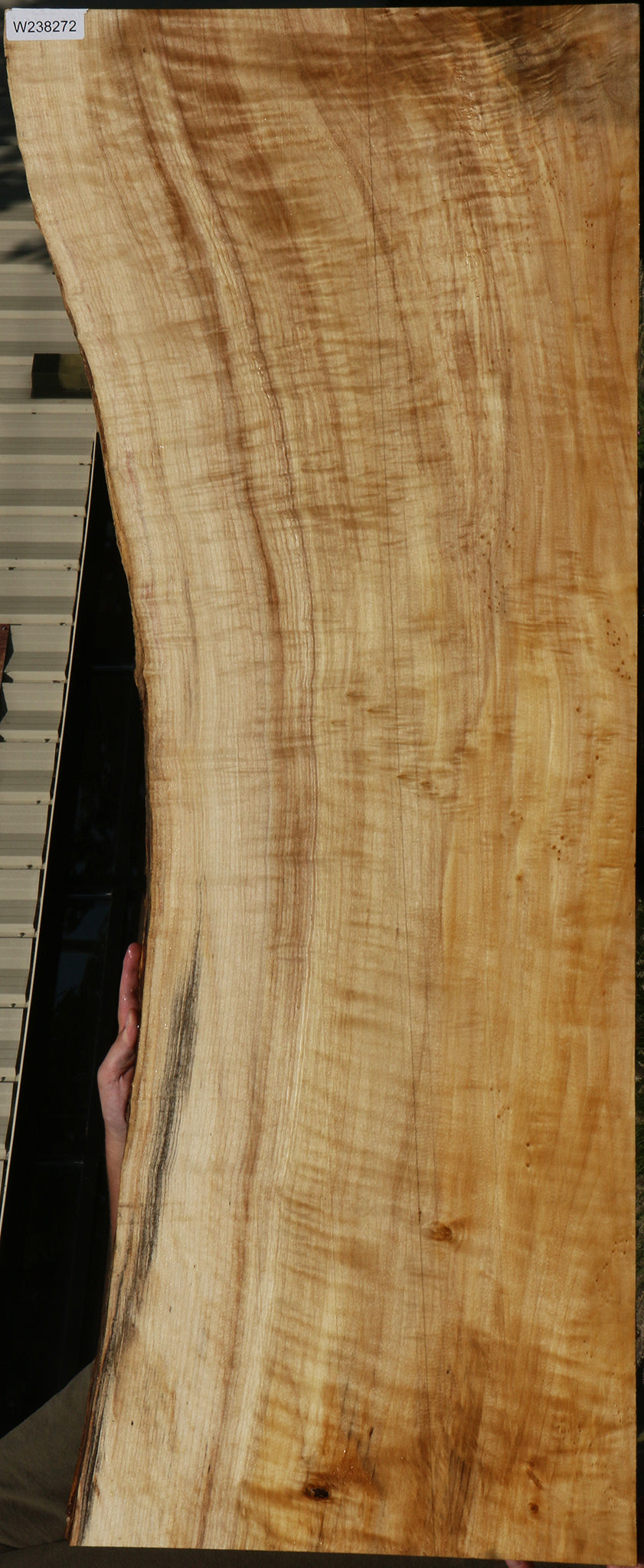 Extra Fancy Black Cottonwood Live Edge Lumber