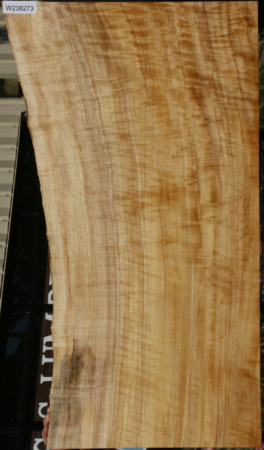 Extra Fancy Black Cottonwood Live Edge Lumber
