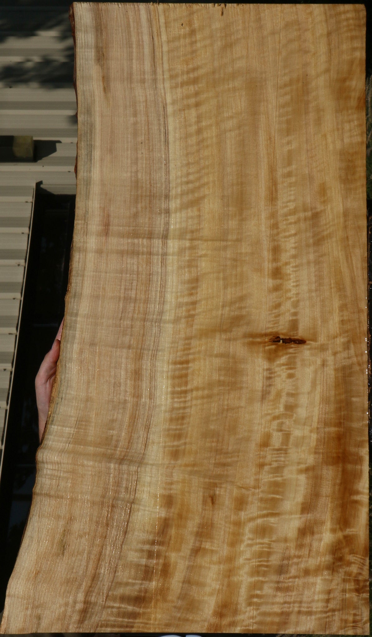 Extra Fancy Black Cottonwood Live Edge Lumber
