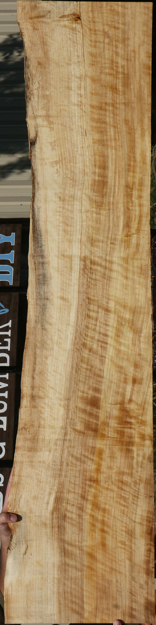 Extra Fancy Black Cottonwood Live Edge Lumber