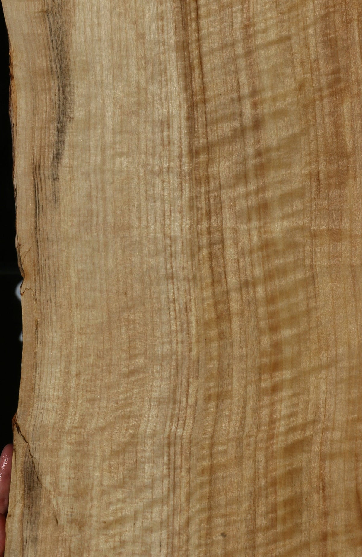 Extra Fancy Black Cottonwood Live Edge Lumber