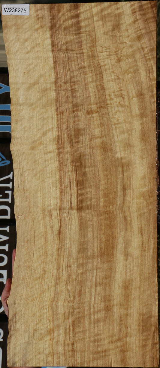 Extra Fancy Black Cottonwood Live Edge Lumber