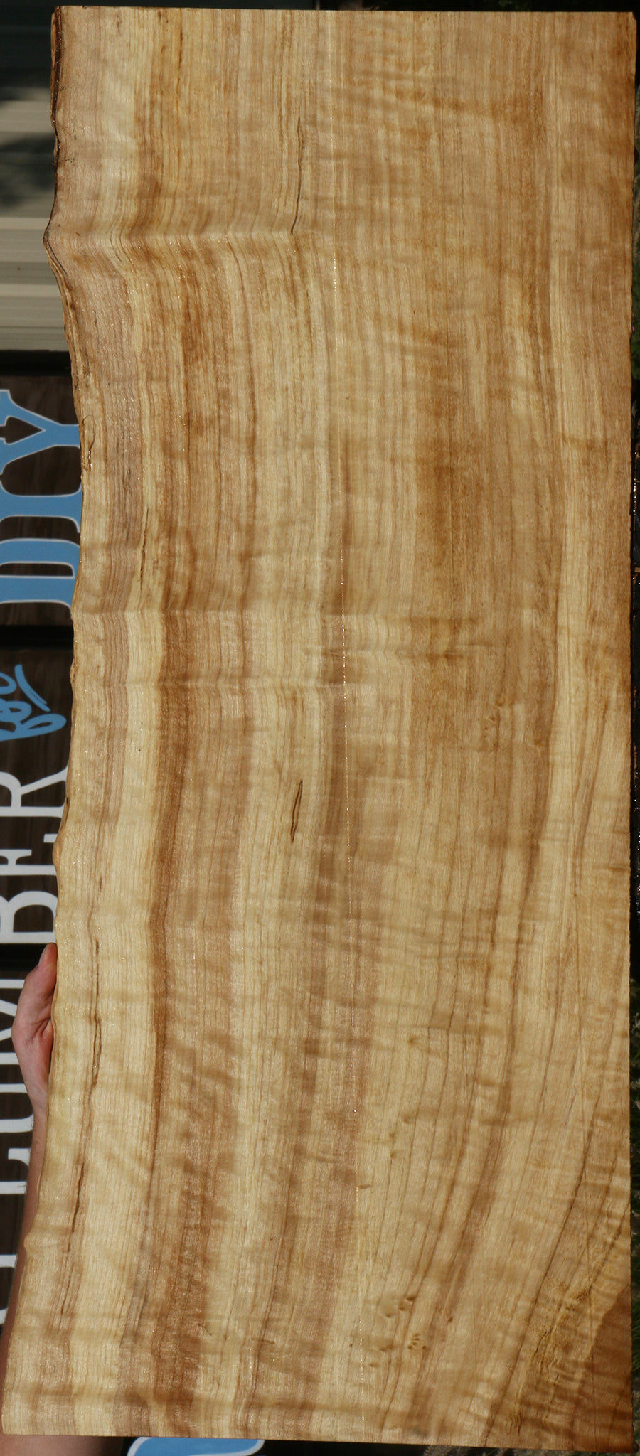 Extra Fancy Black Cottonwood Live Edge Lumber