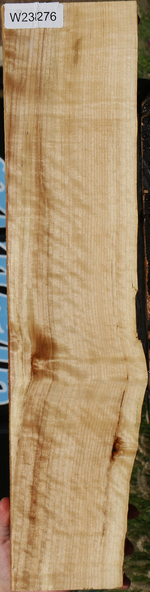 Figured Black Cottonwood Live Edge Lumber