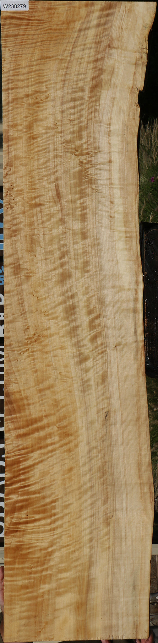 Extra Fancy Black Cottonwood Live Edge Lumber