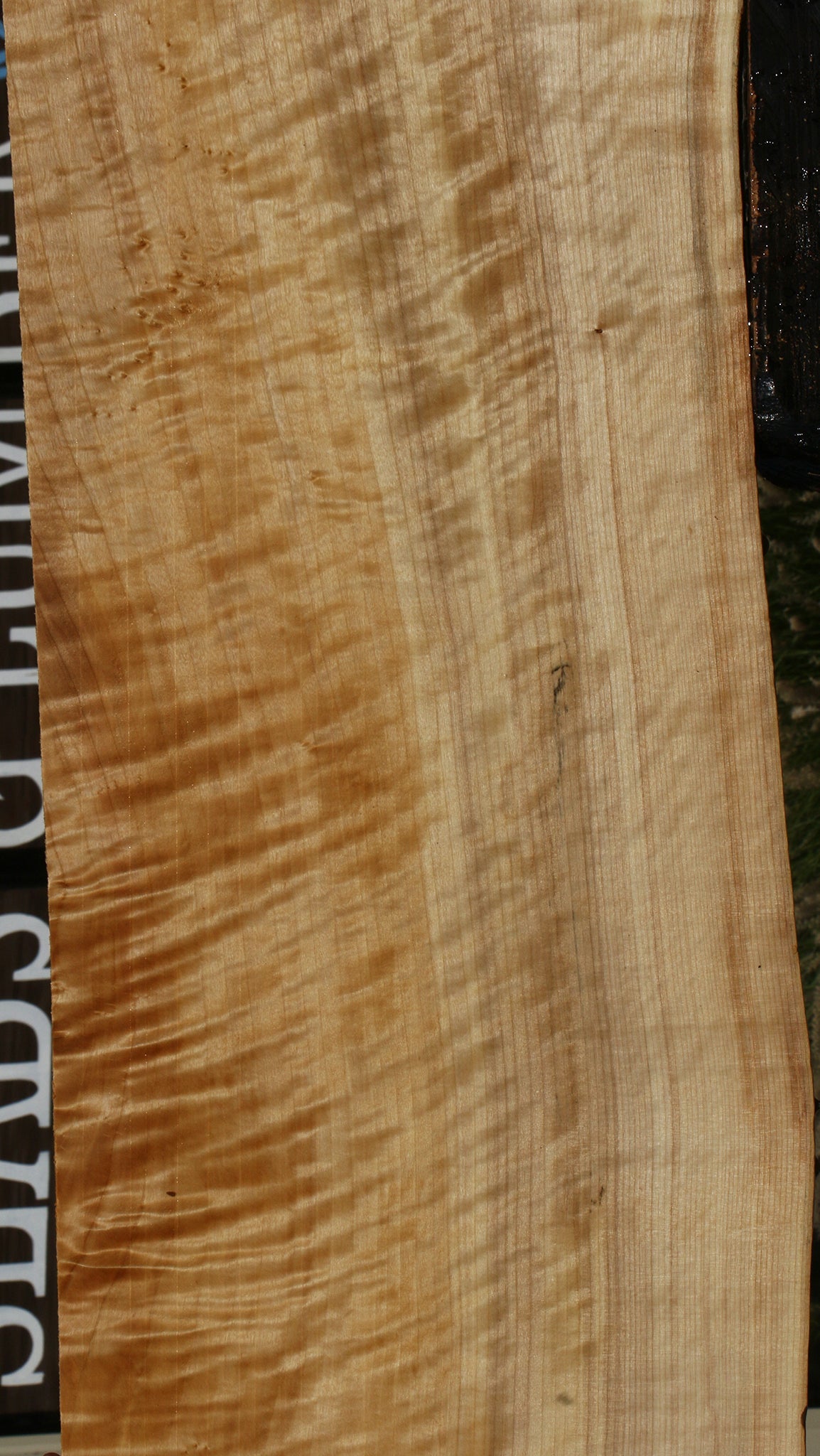 Extra Fancy Black Cottonwood Live Edge Lumber