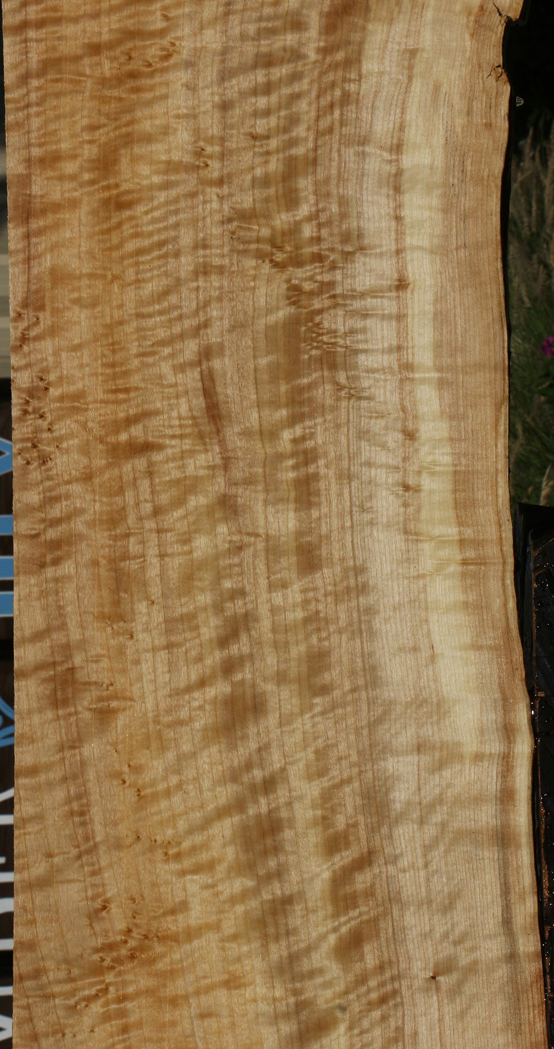 Extra Fancy Black Cottonwood Live Edge Lumber