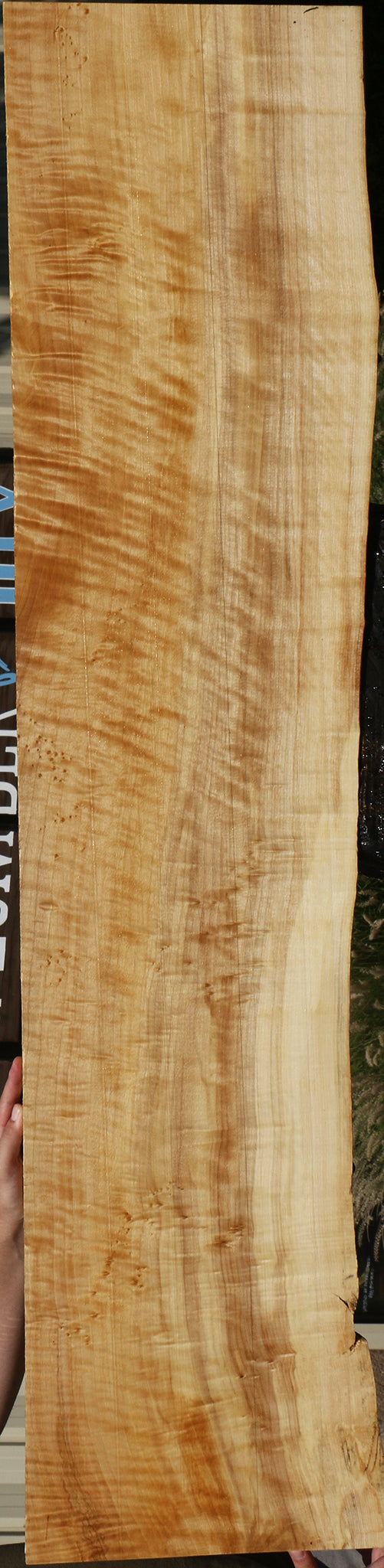Extra Fancy Black Cottonwood Live Edge Lumber