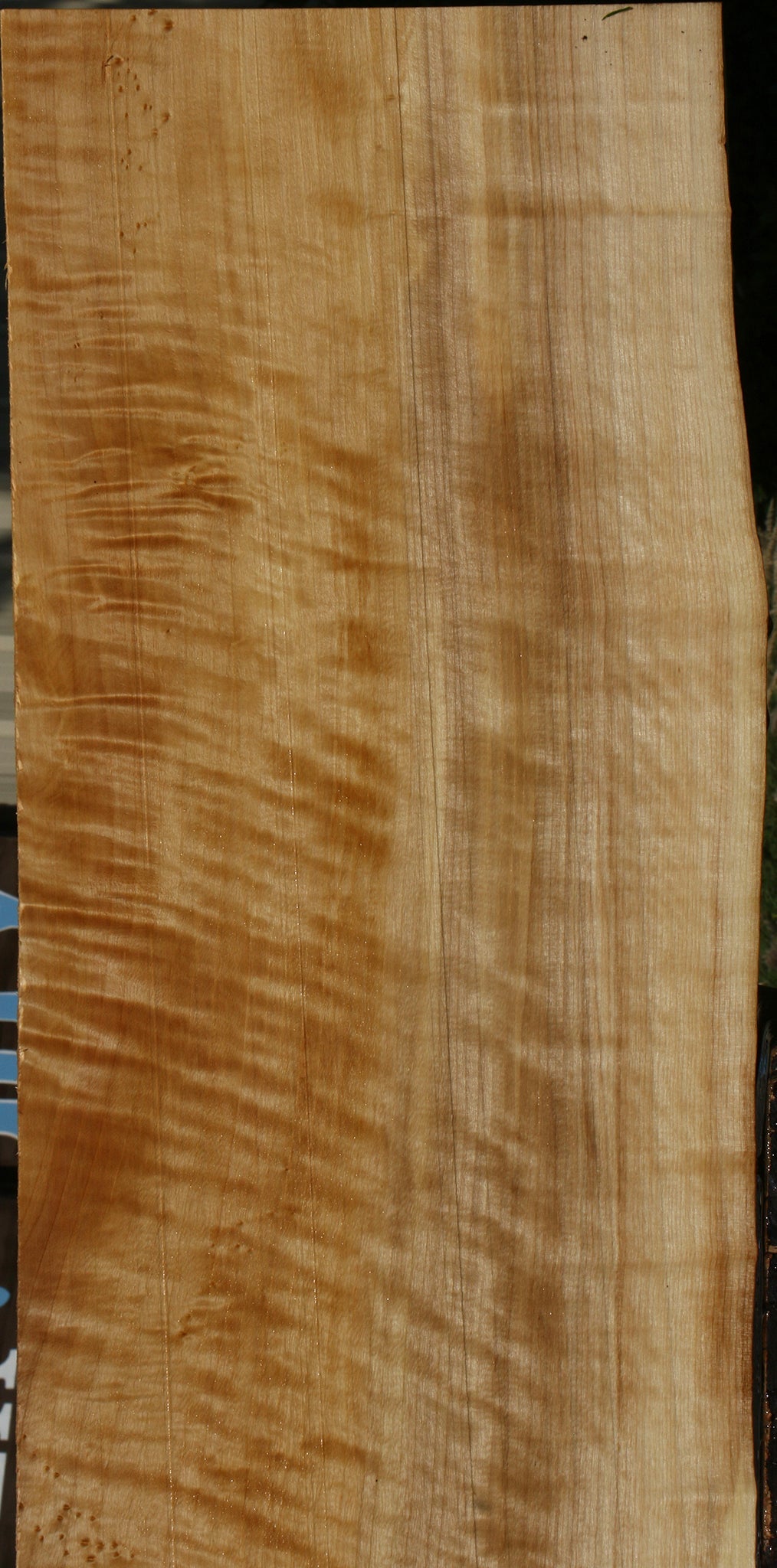 Extra Fancy Black Cottonwood Live Edge Lumber