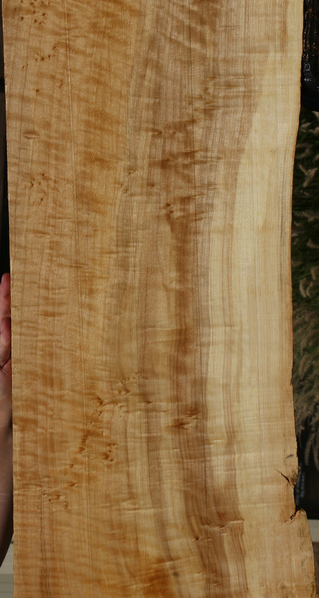 Extra Fancy Black Cottonwood Live Edge Lumber
