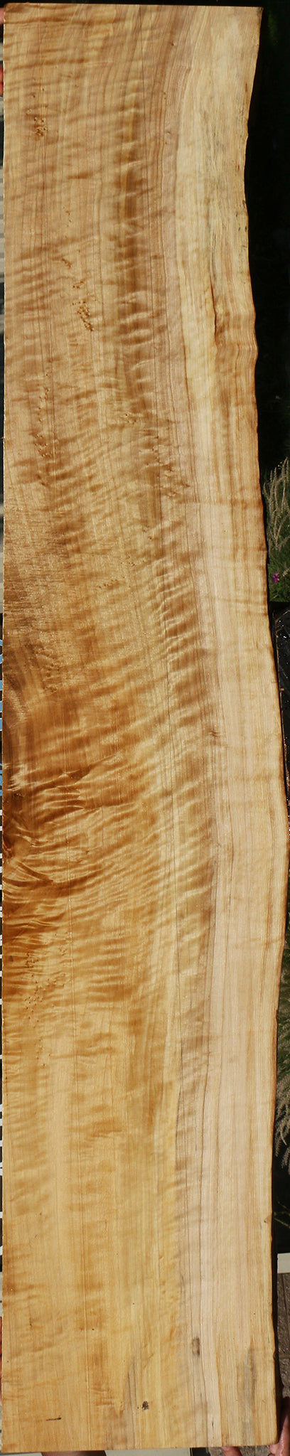 Extra Fancy Black Cottonwood Live Edge Lumber