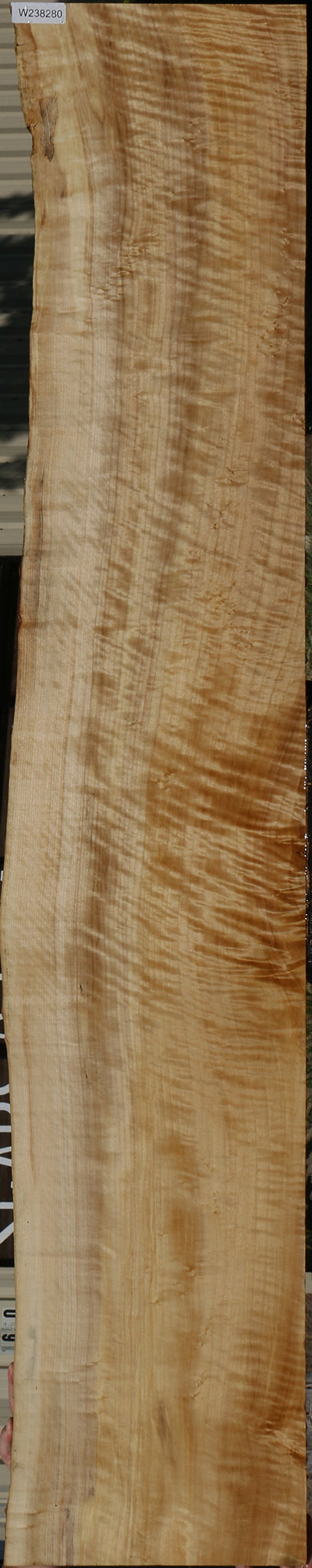 Extra Fancy Black Cottonwood Live Edge Lumber