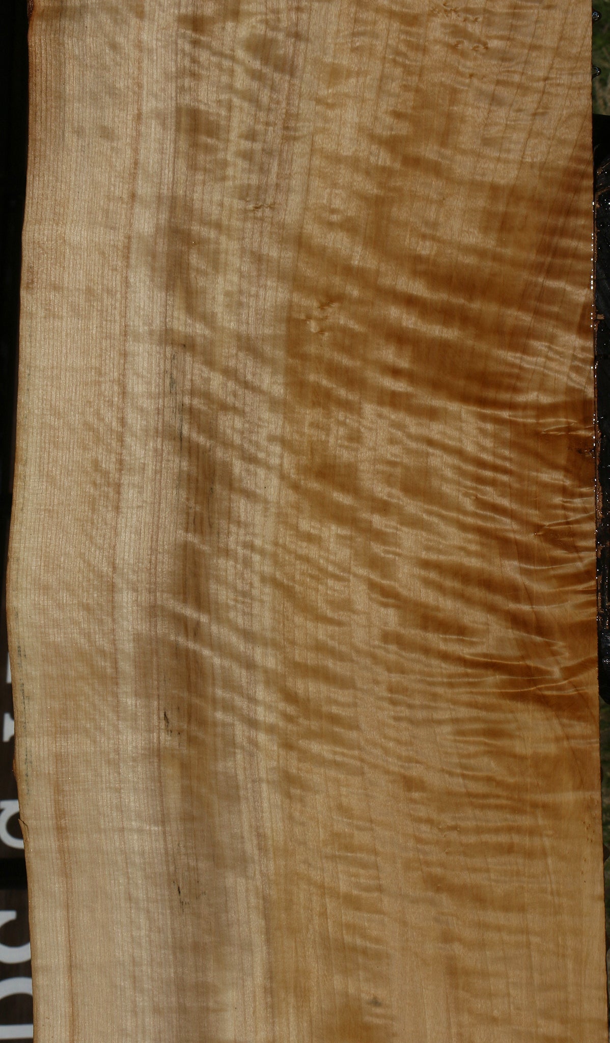 Extra Fancy Black Cottonwood Live Edge Lumber
