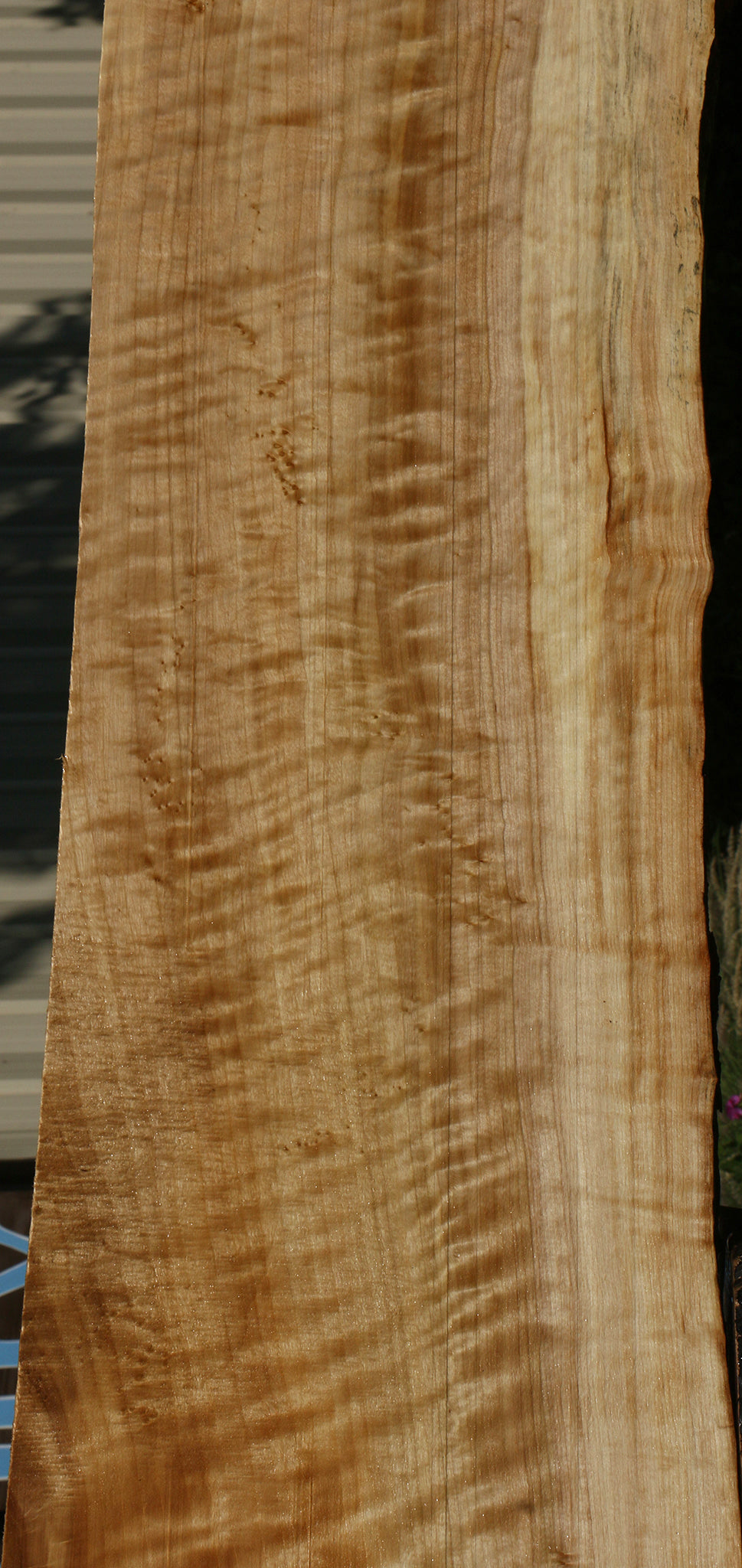 Extra Fancy Black Cottonwood Live Edge Lumber