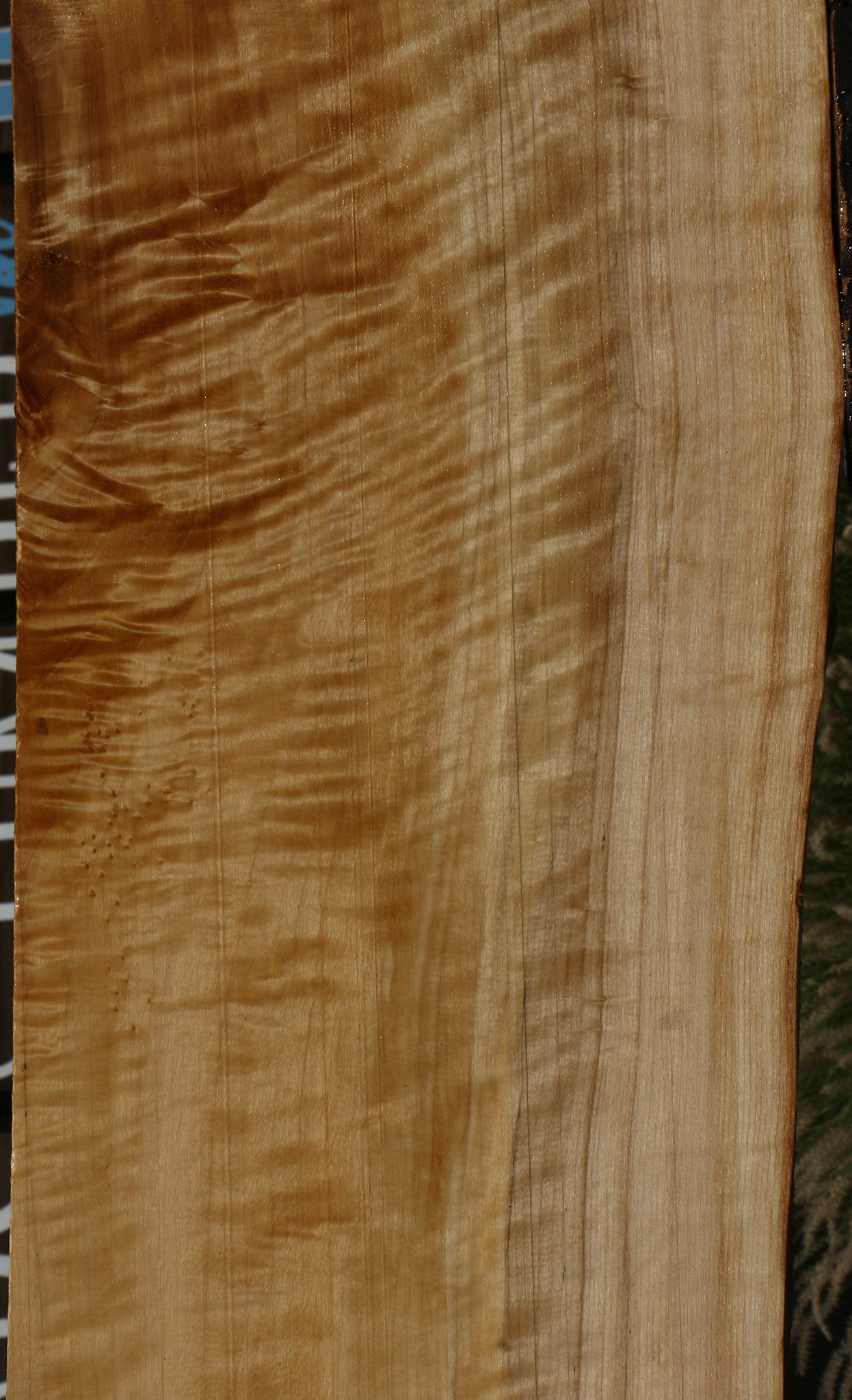 Extra Fancy Black Cottonwood Live Edge Lumber