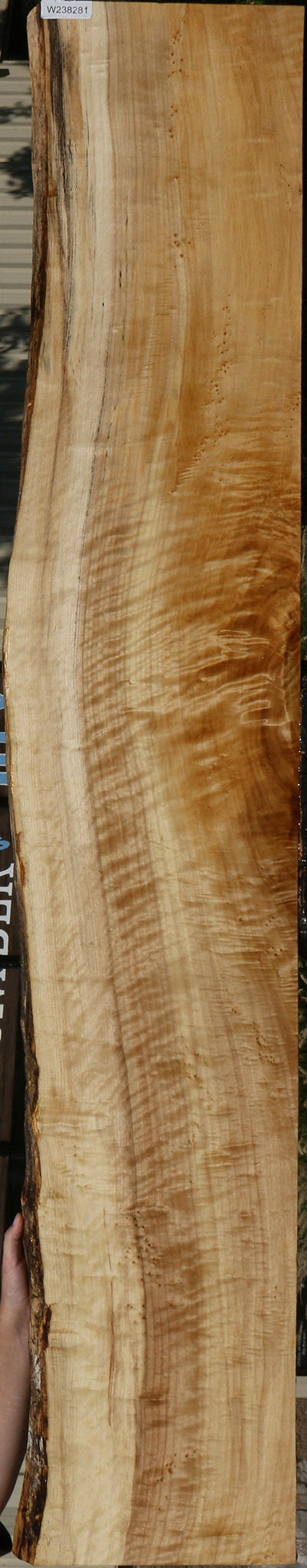 Extra Fancy Black Cottonwood Live Edge Lumber