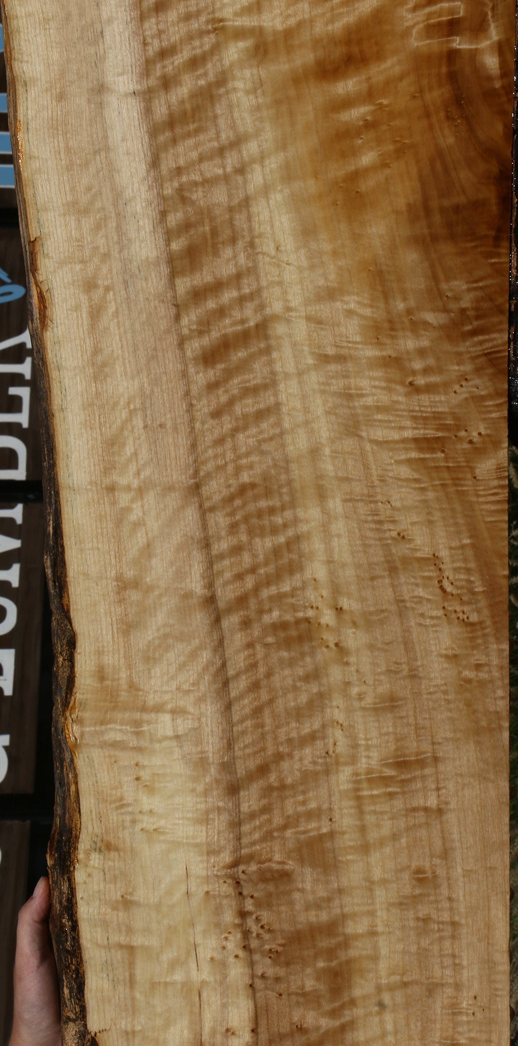 Extra Fancy Black Cottonwood Live Edge Lumber