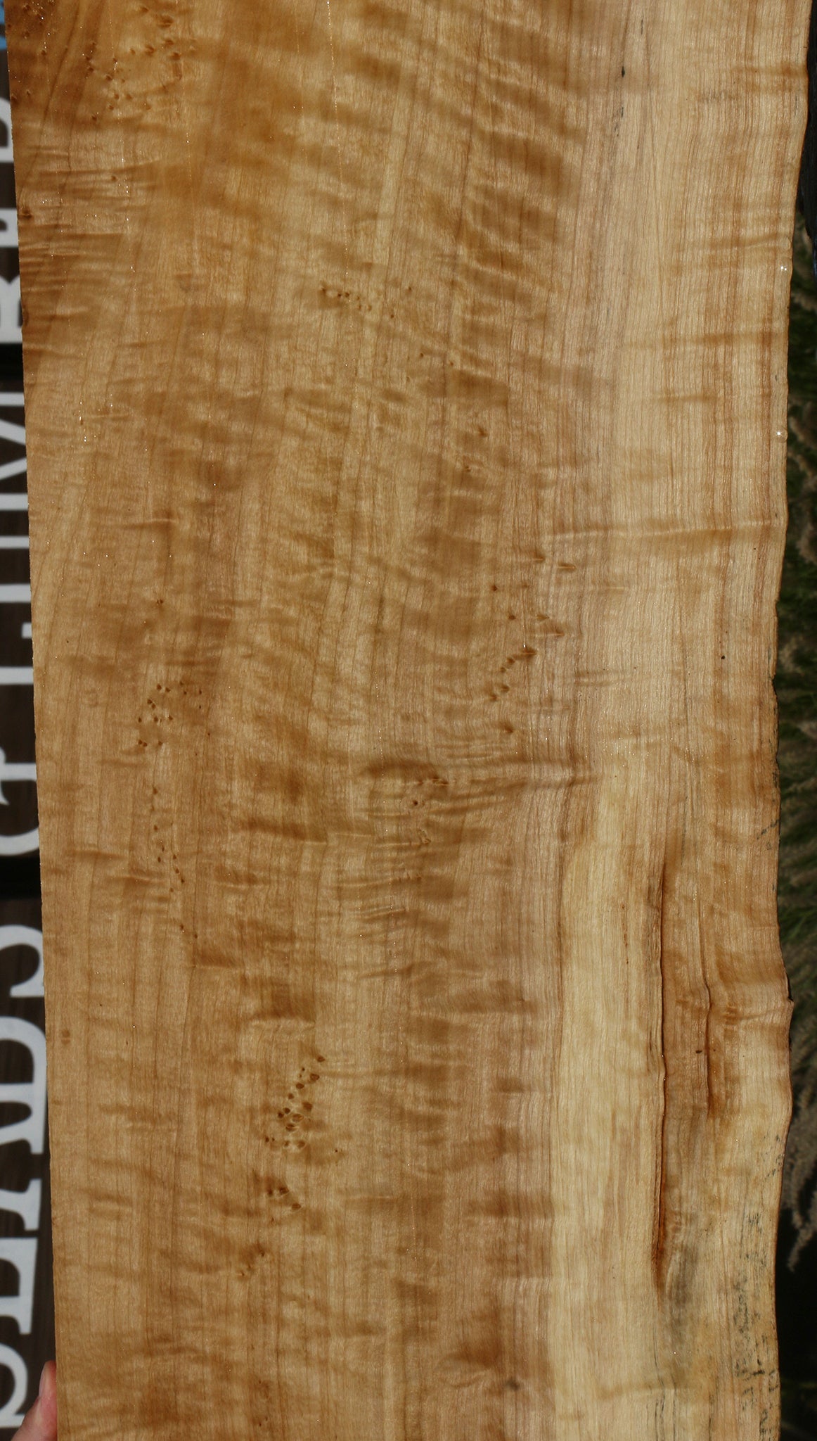 Extra Fancy Black Cottonwood Live Edge Lumber
