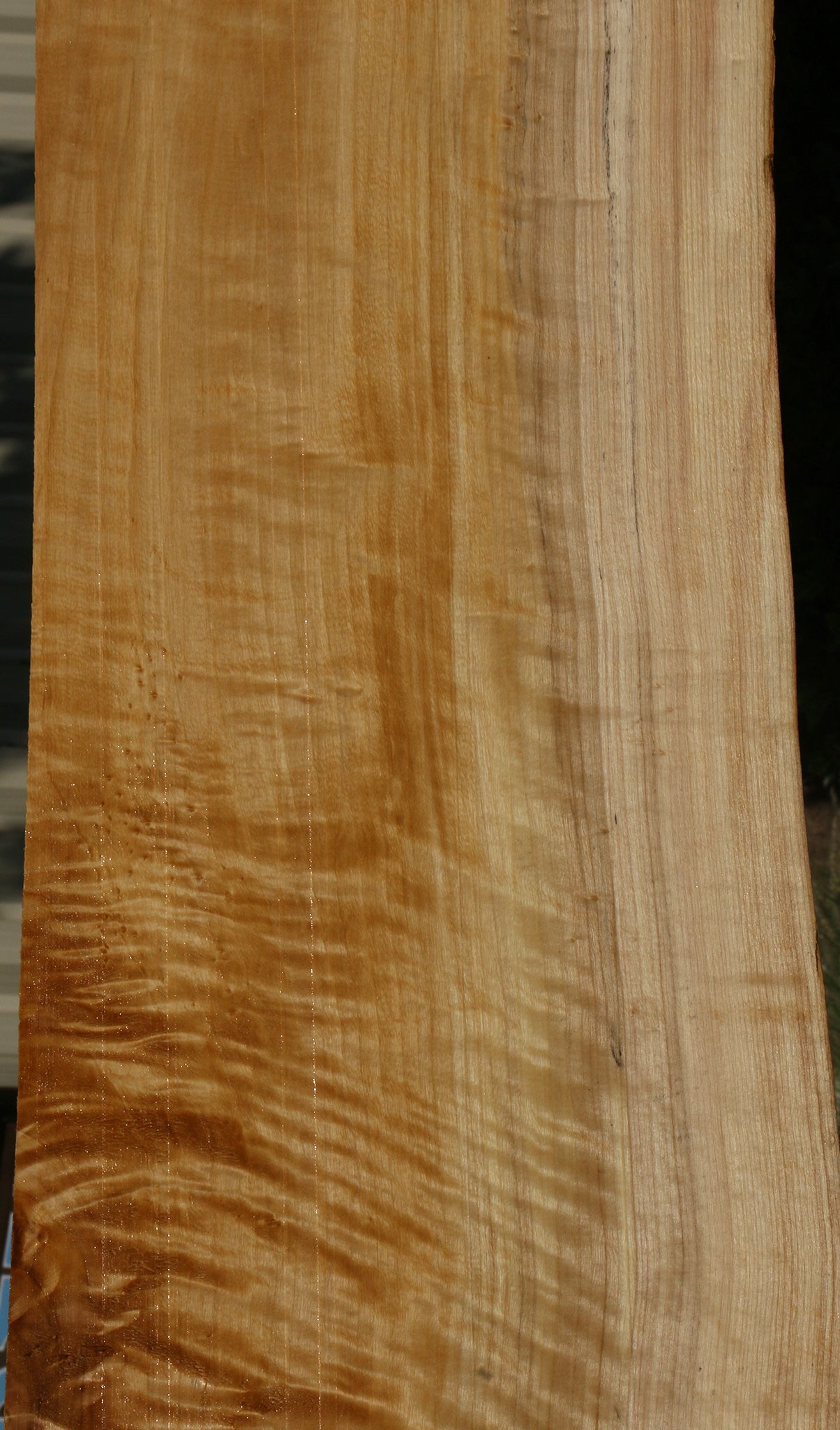 Extra Fancy Black Cottonwood Live Edge Lumber