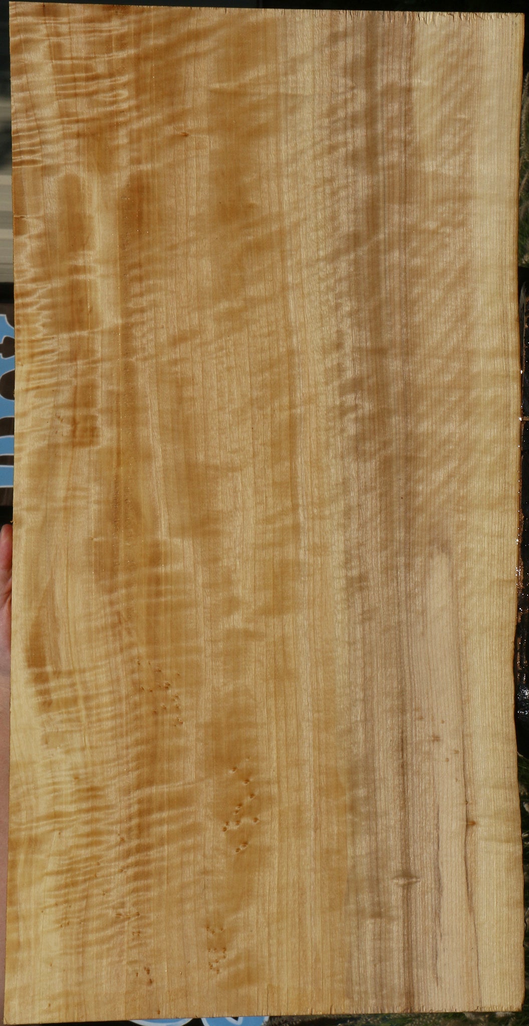 Extra Fancy Black Cottonwood Live Edge Lumber