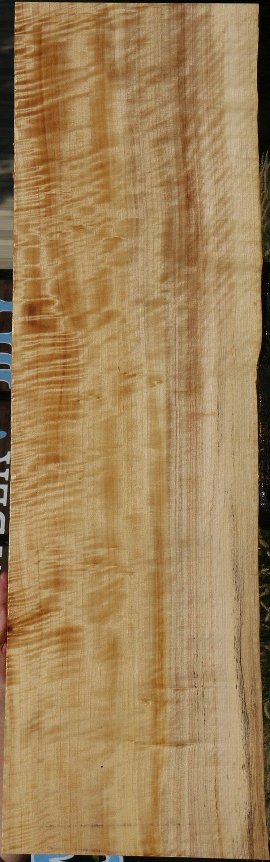 Extra Fancy Black Cottonwood Live Edge Lumber