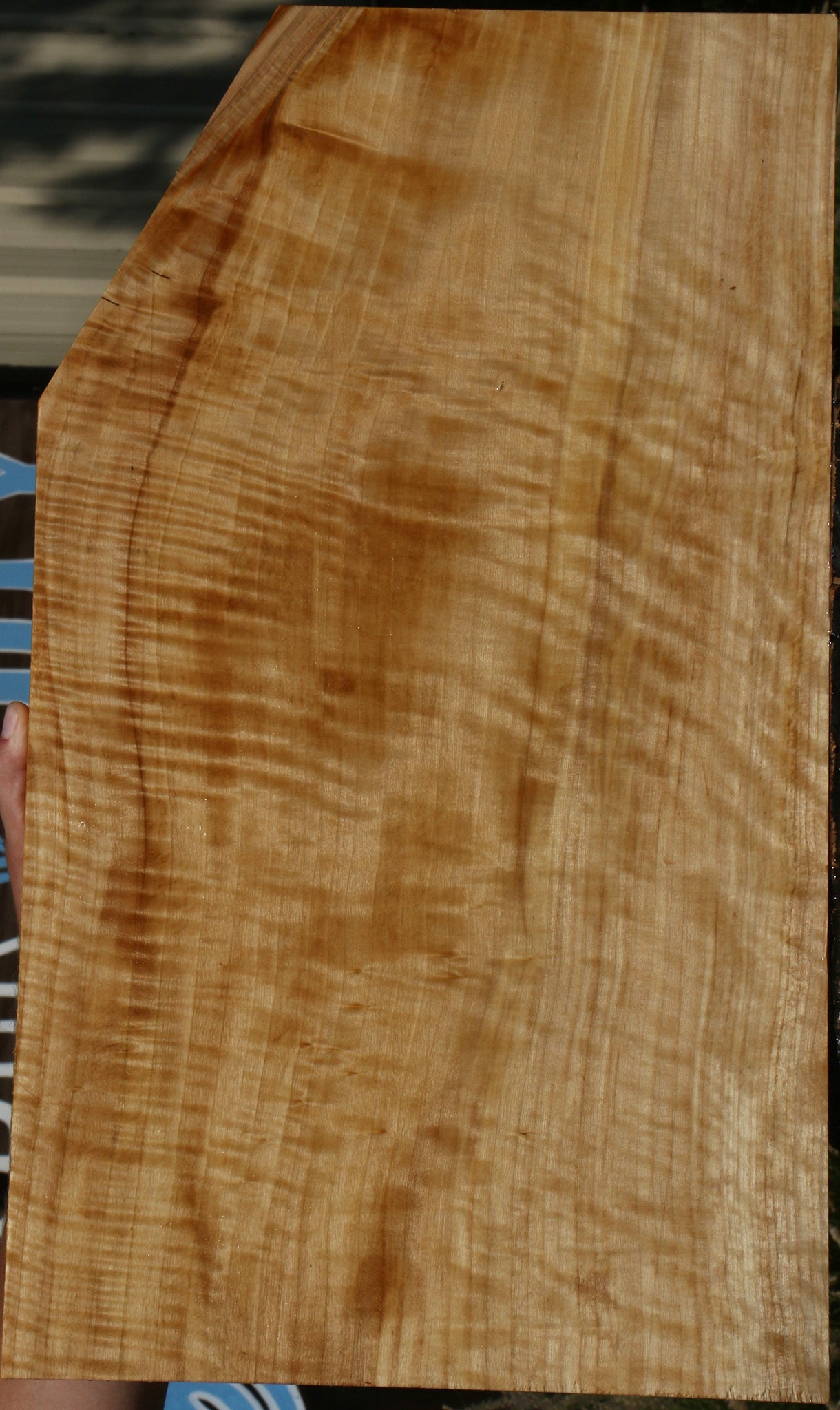 Extra Fancy Black Cottonwood Lumber
