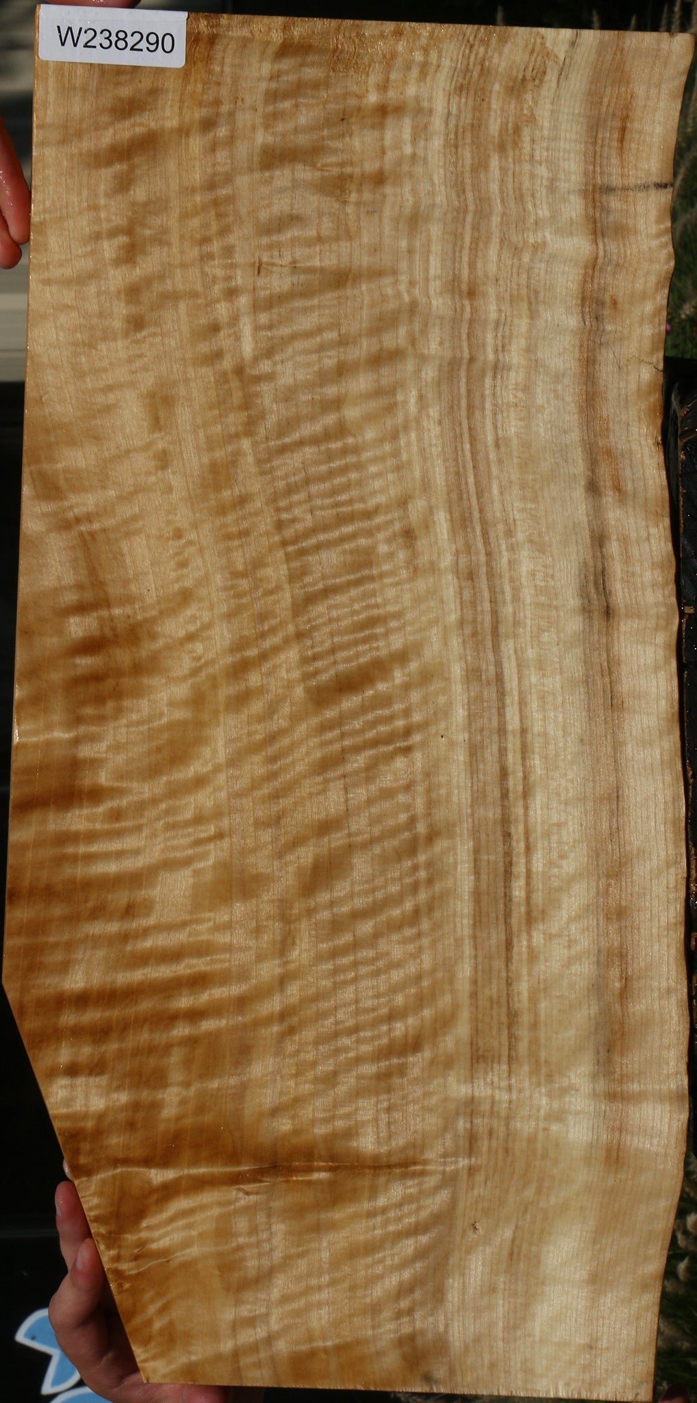 Extra Fancy Black Cottonwood Live Edge Lumber