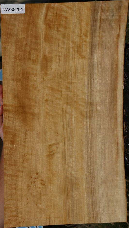 Extra Fancy Black Cottonwood Live Edge Lumber