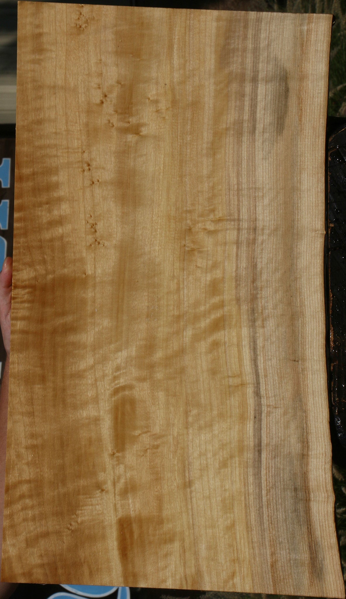 Extra Fancy Black Cottonwood Live Edge Lumber