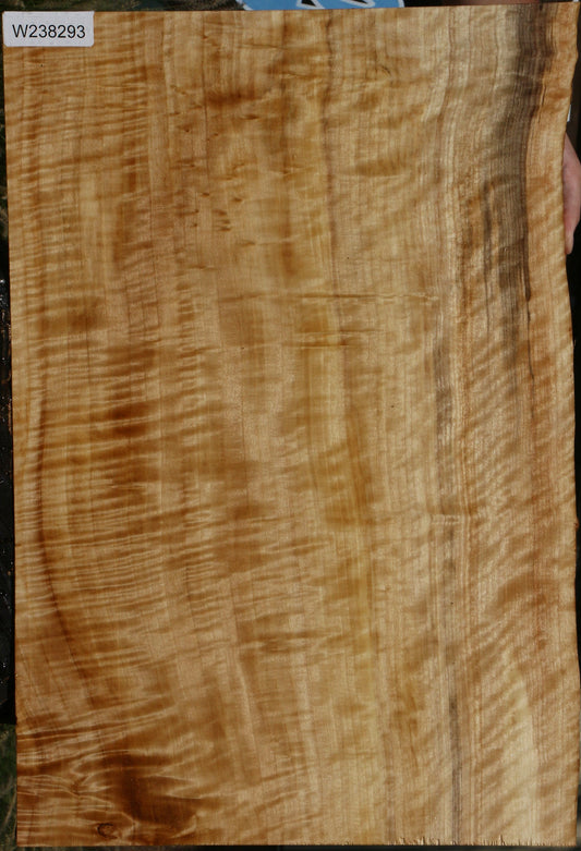 Extra Fancy Black Cottonwood Live Edge Lumber