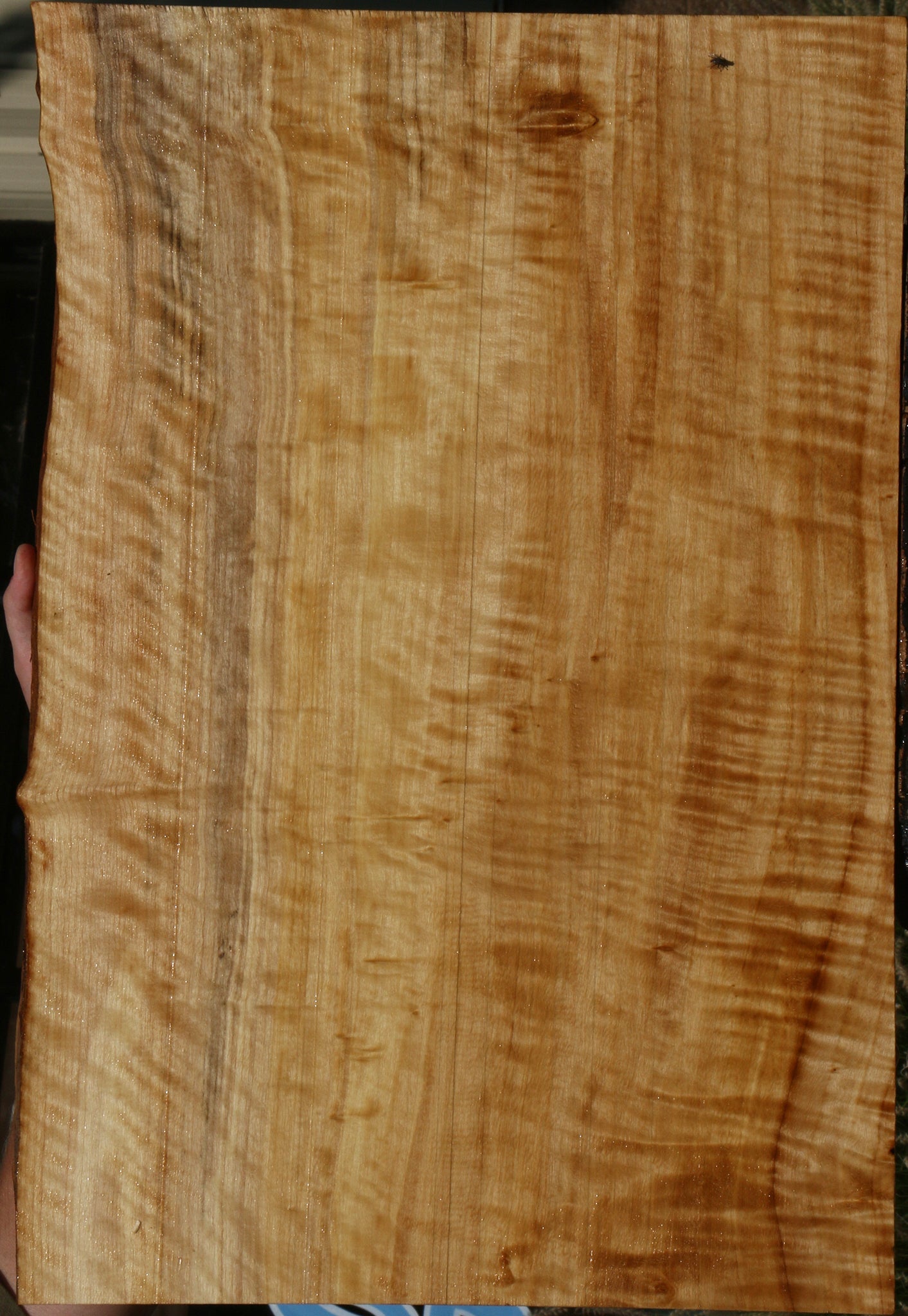 Extra Fancy Black Cottonwood Live Edge Lumber