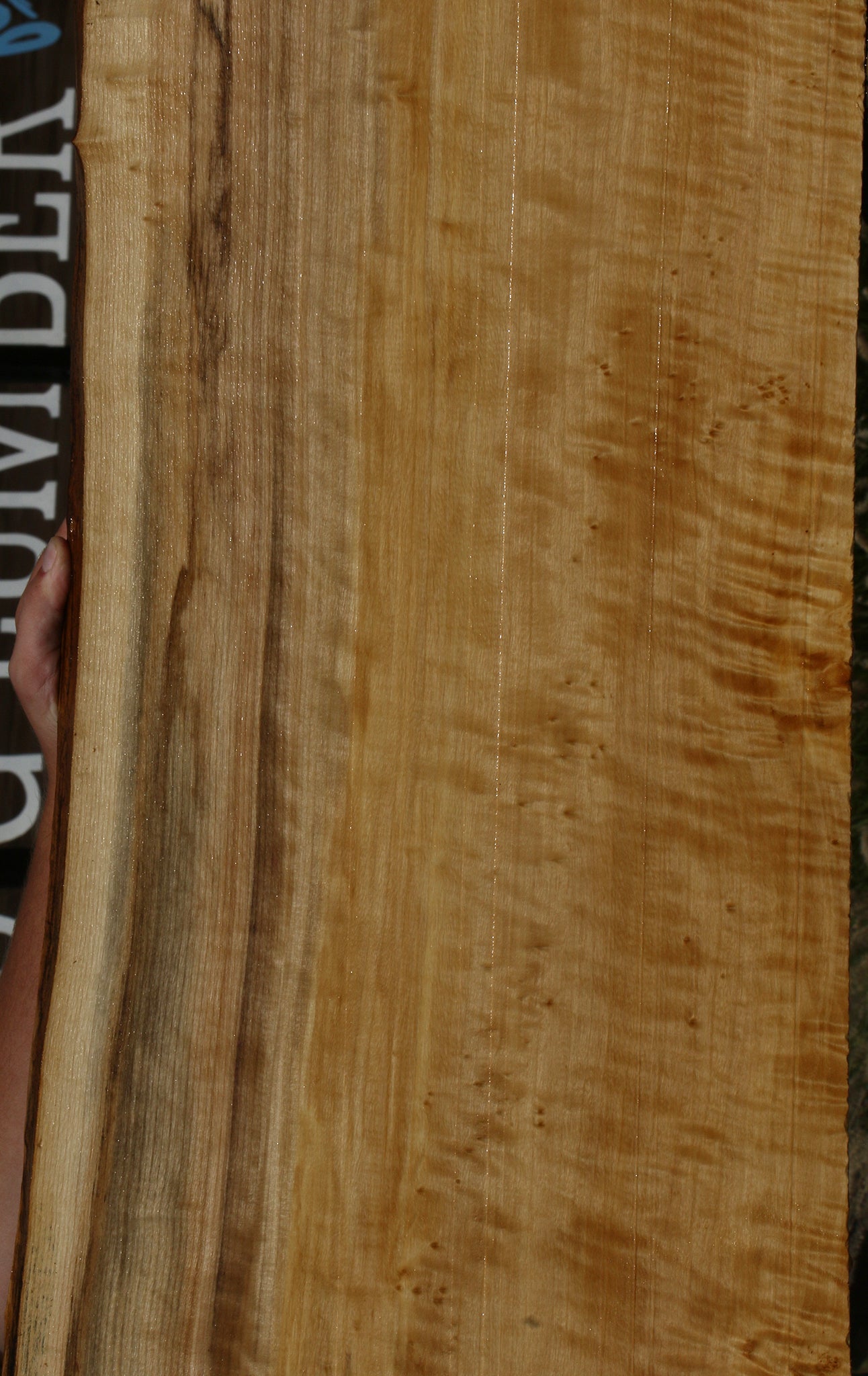 Extra Fancy Black Cottonwood Live Edge Lumber