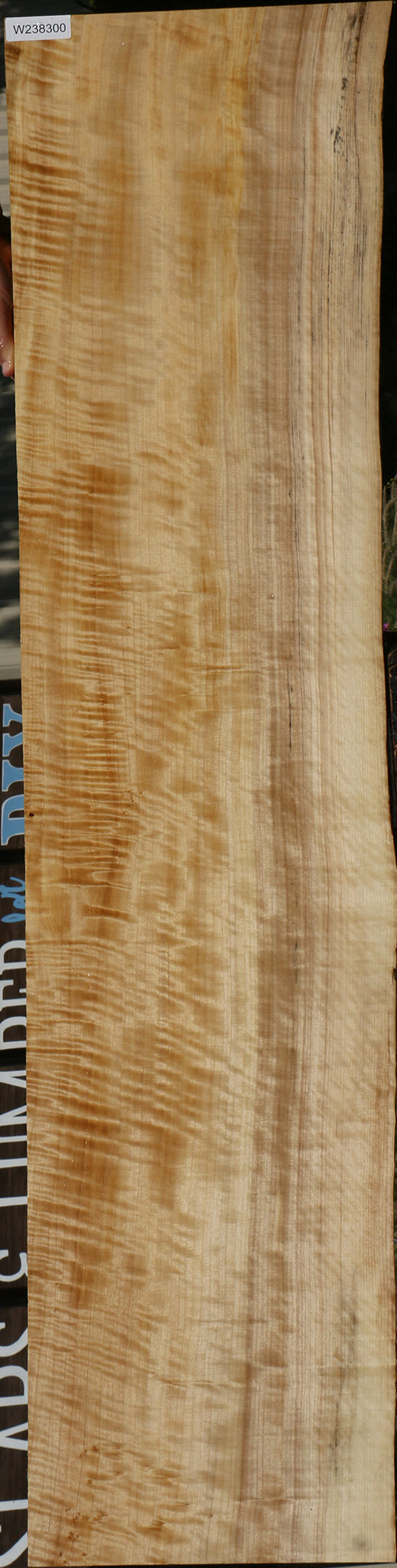 Extra Fancy Black Cottonwood Live Edge Lumber