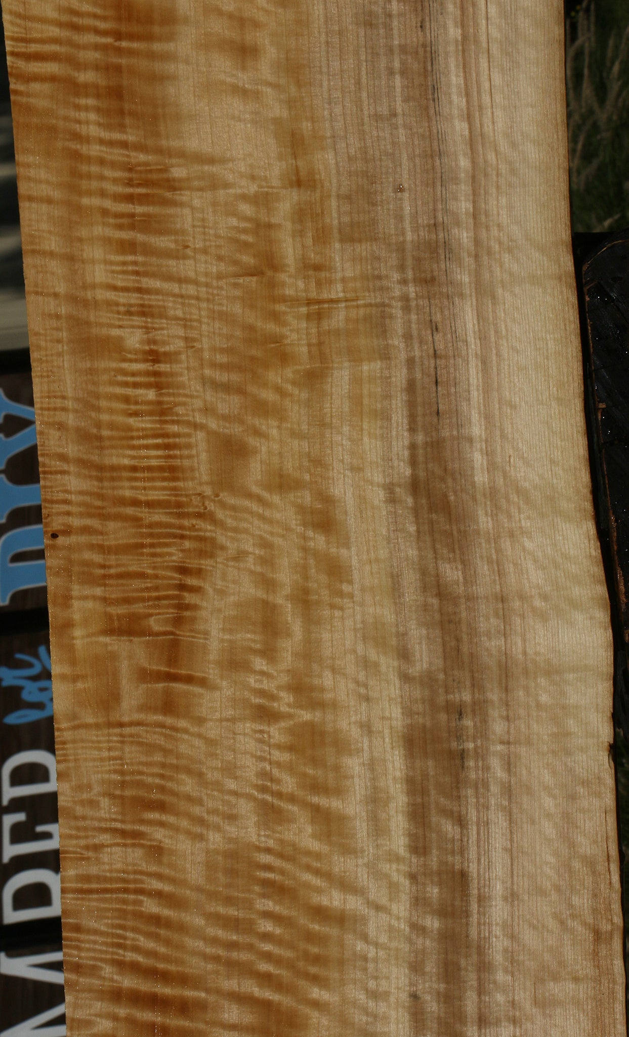 Extra Fancy Black Cottonwood Live Edge Lumber