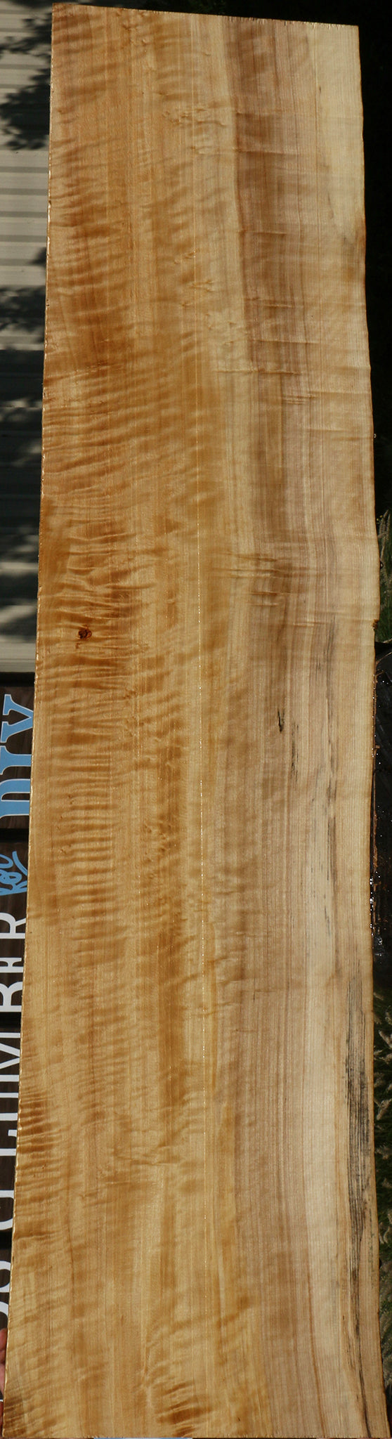 Extra Fancy Black Cottonwood Live Edge Lumber
