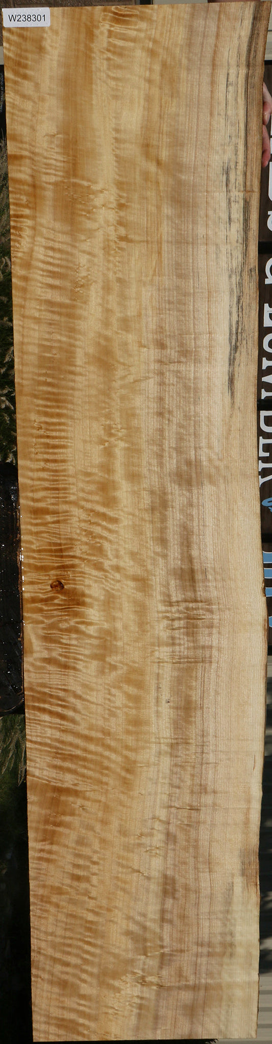Extra Fancy Black Cottonwood Live Edge Lumber