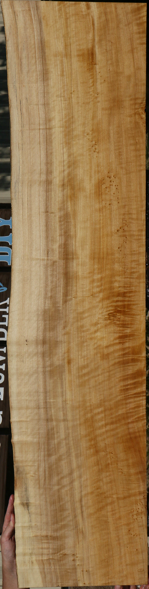 Extra Fancy Black Cottonwood Live Edge Lumber