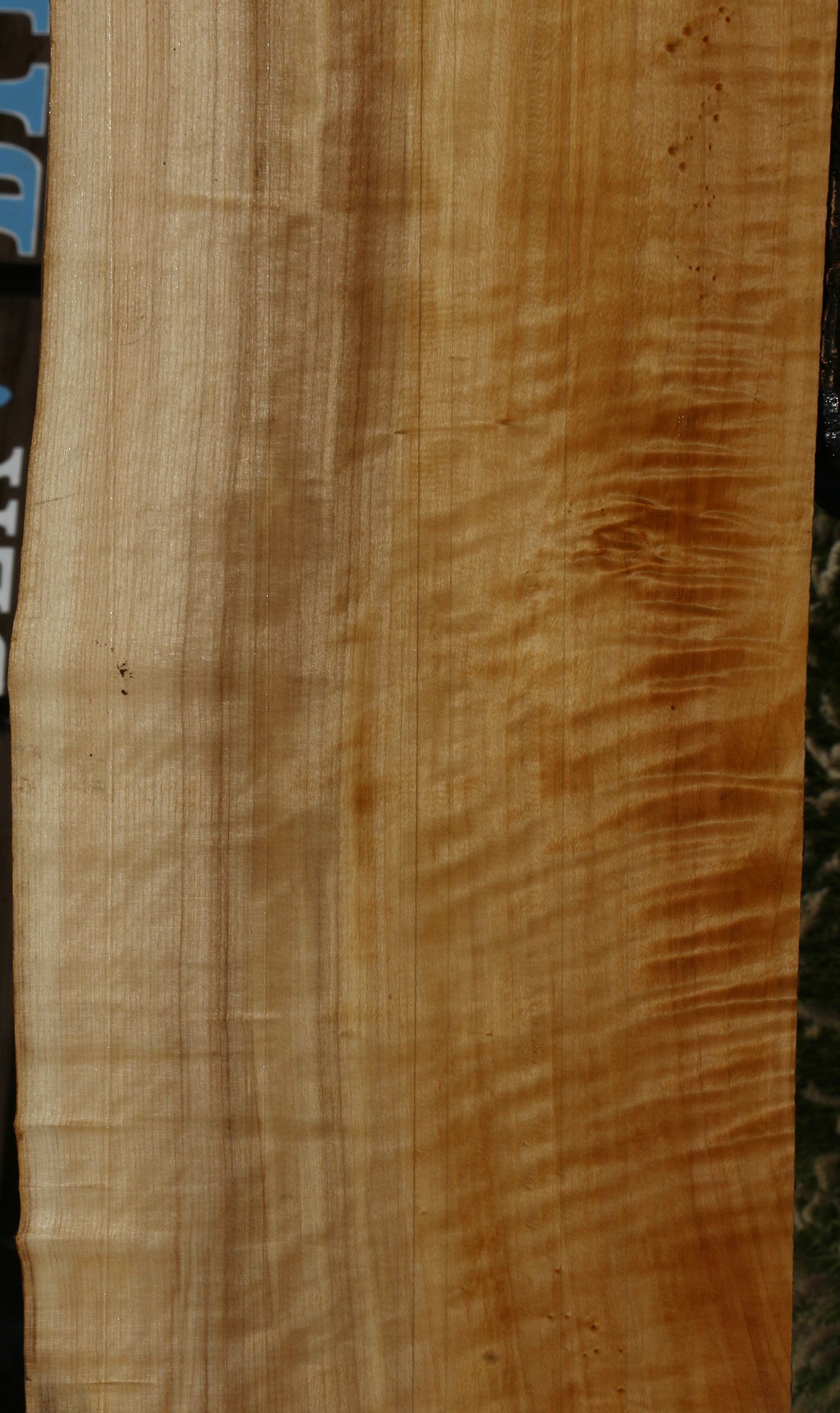 Extra Fancy Black Cottonwood Live Edge Lumber
