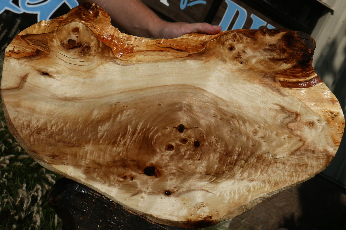 Figured Rustic Black Cottonwood Live Edge Lumber