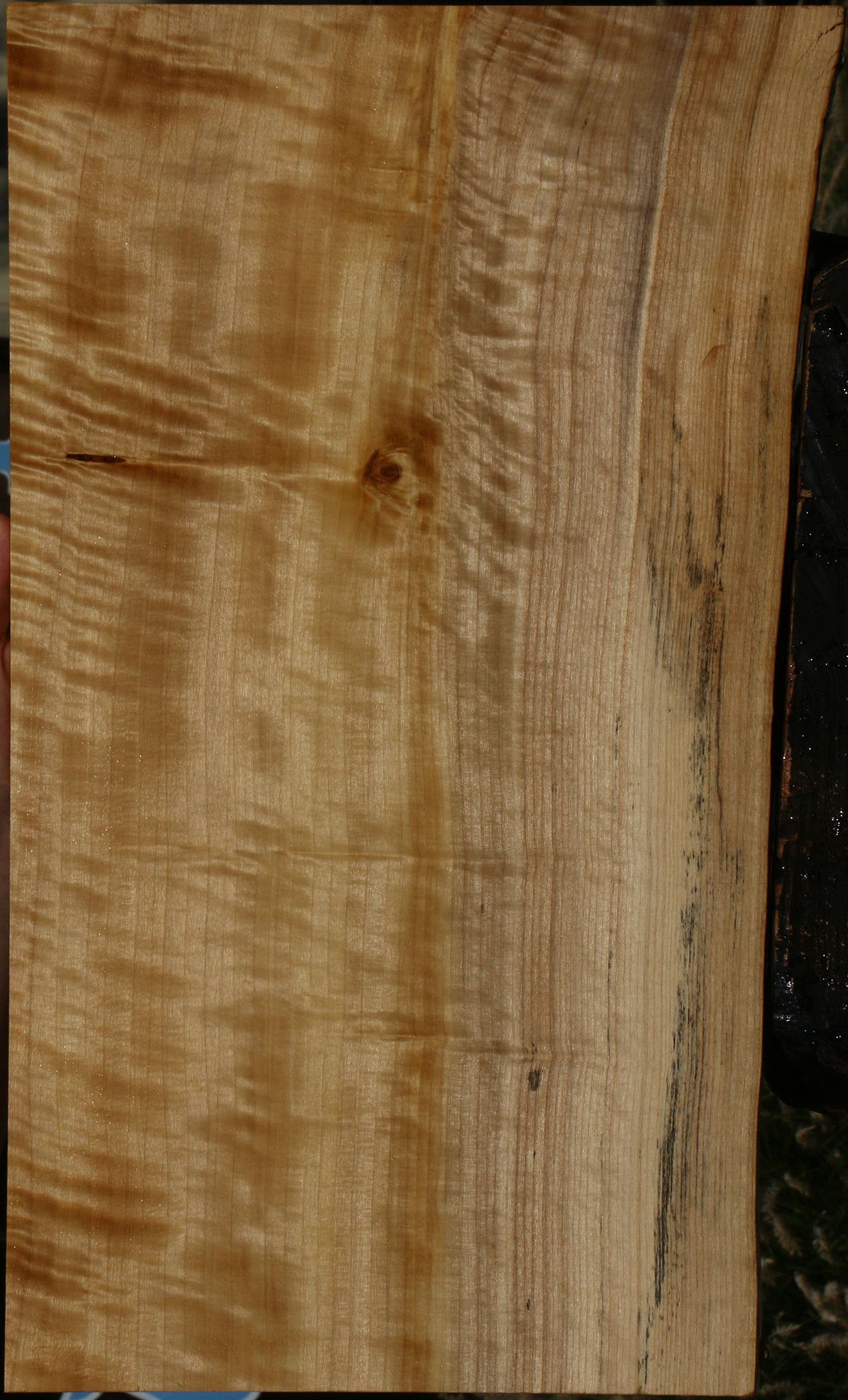 Extra Fancy Black Cottonwood Live Edge Lumber