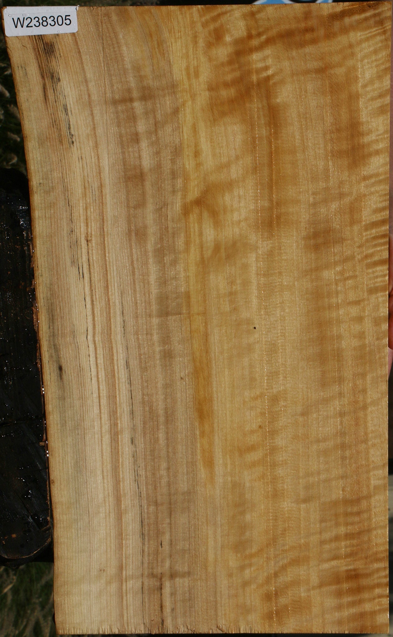 Extra Fancy Black Cottonwood Live Edge Lumber