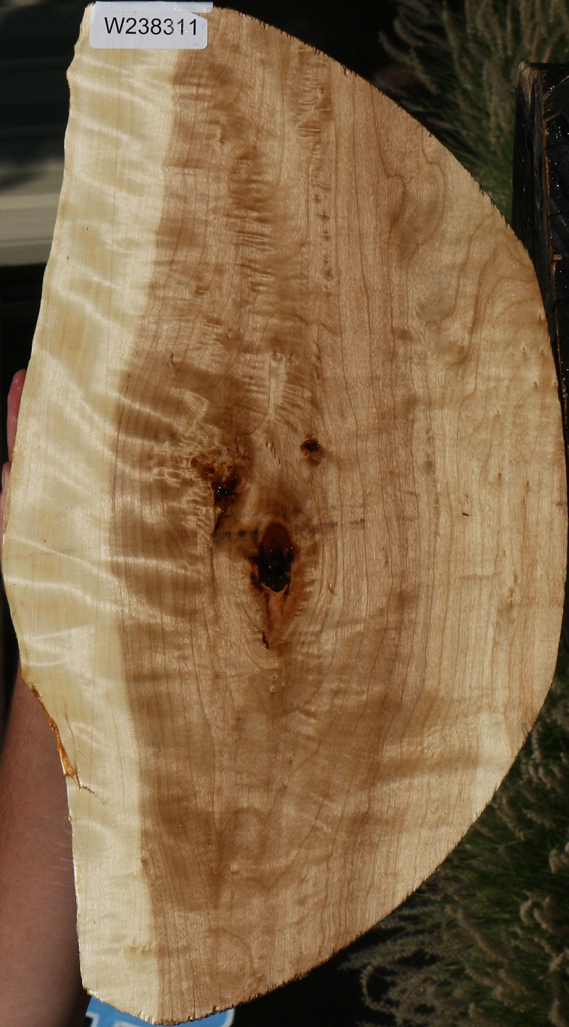 Figured Rustic Black Cottonwood Lumber