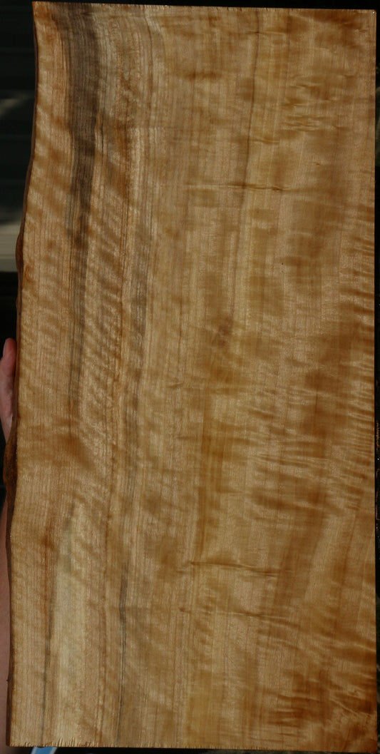 Extra Fancy Black Cottonwood Live Edge Lumber