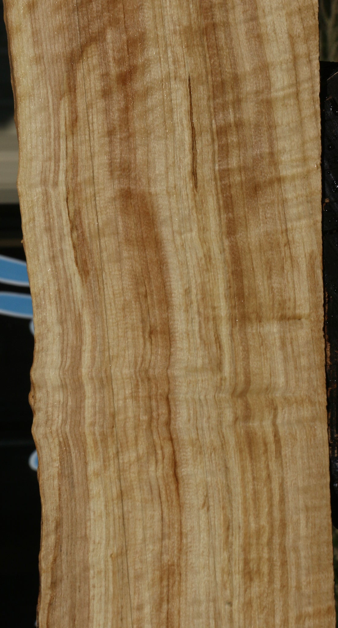 Extra Fancy Black Cottonwood Live Edge Lumber