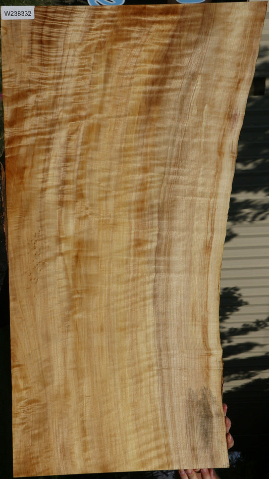 Extra Fancy Black Cottonwood Live Edge Lumber