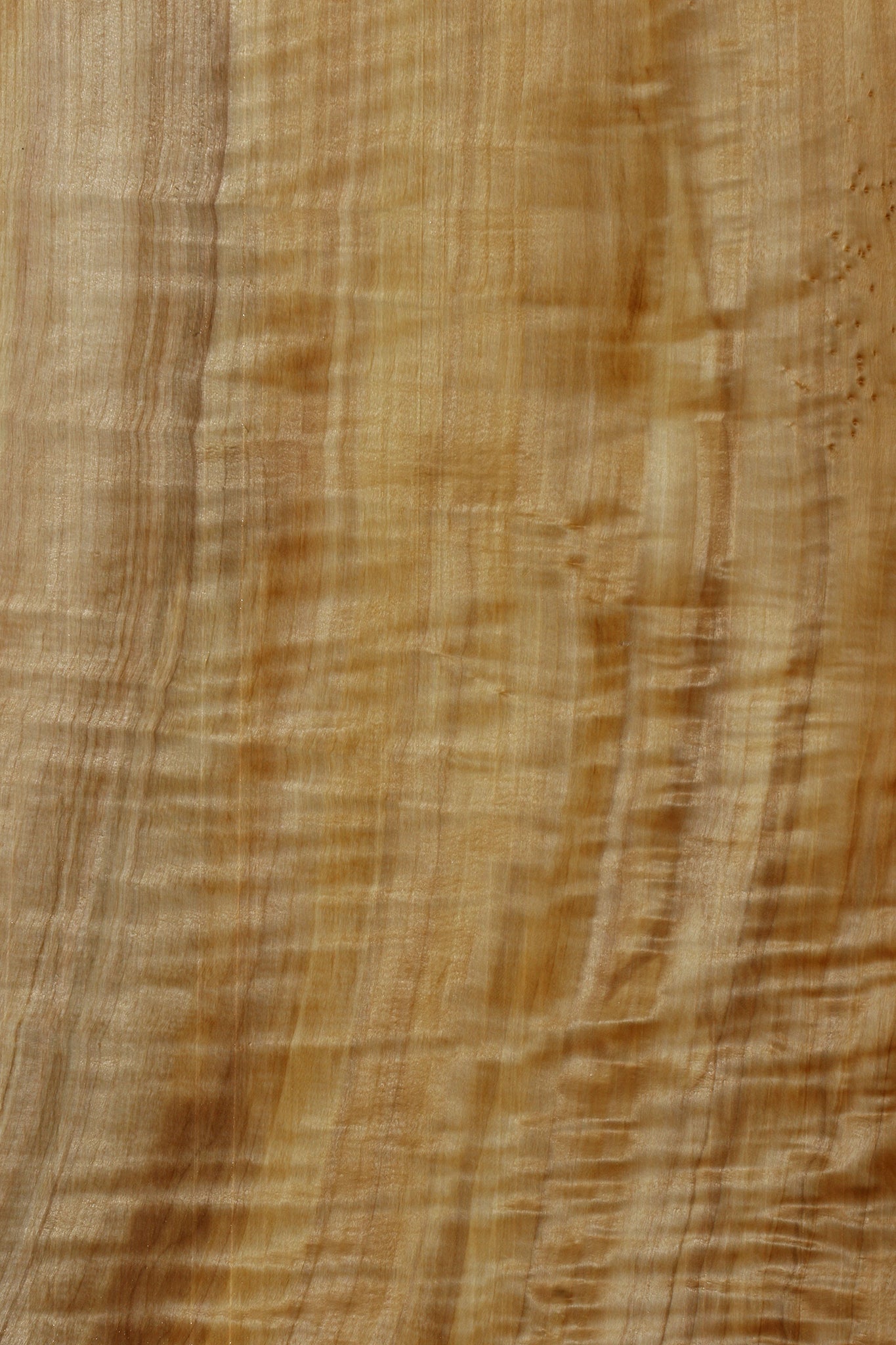 Extra Fancy Black Cottonwood Live Edge Lumber