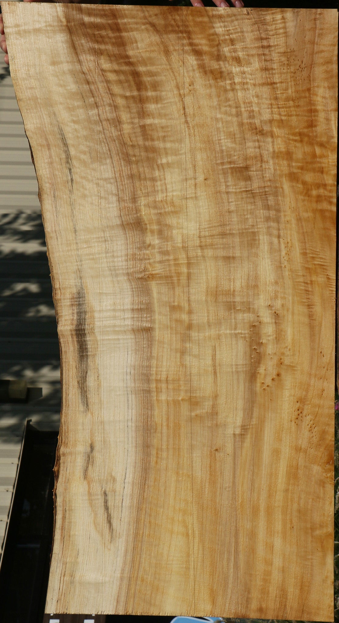 Extra Fancy Black Cottonwood Live Edge Lumber