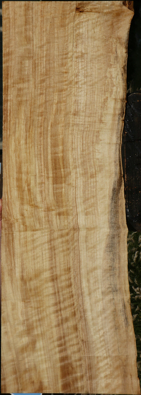 Extra Fancy Black Cottonwood Live Edge Lumber