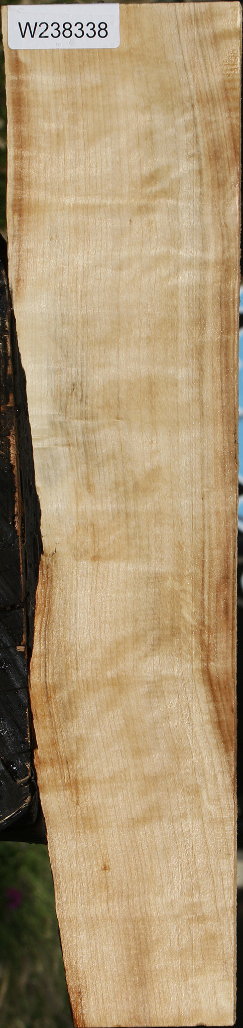 Figured Black Cottonwood Lumber