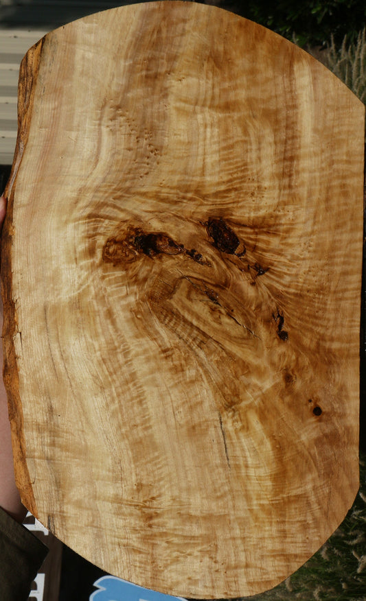 Extra Fancy Rustic Black Cottonwood Live Edge Lumber